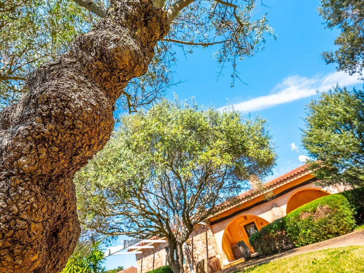 Sardinia Family Villas - Villa Elena With Salt Water Private Pool أرتْساكينا إيطاليا